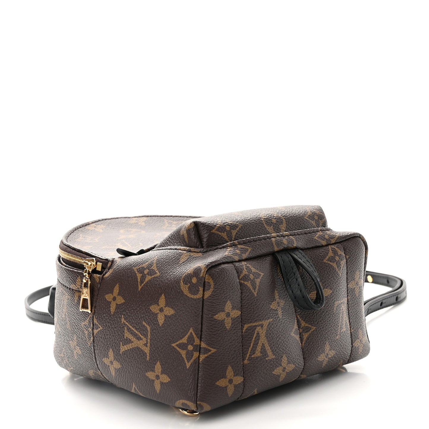 Monogram Palm Springs Backpack Mini