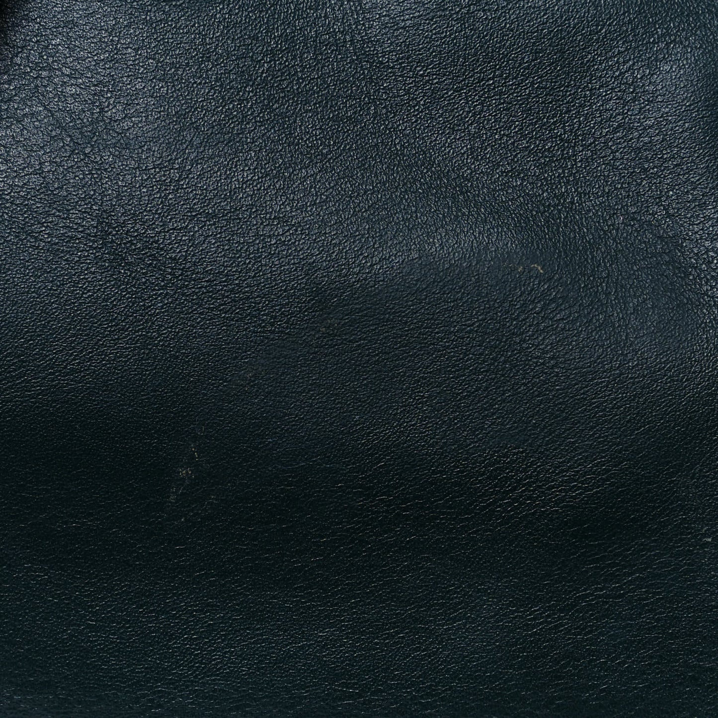 Pebbled Calfskin Large Skull Padlock Zip Around Tote Dark Green