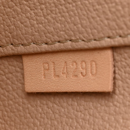 Louis Vuitton Monogram Nano Nice 7 of 9