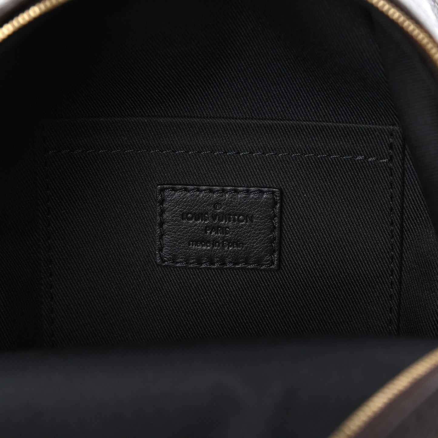 Monogram Palm Springs Backpack Mini