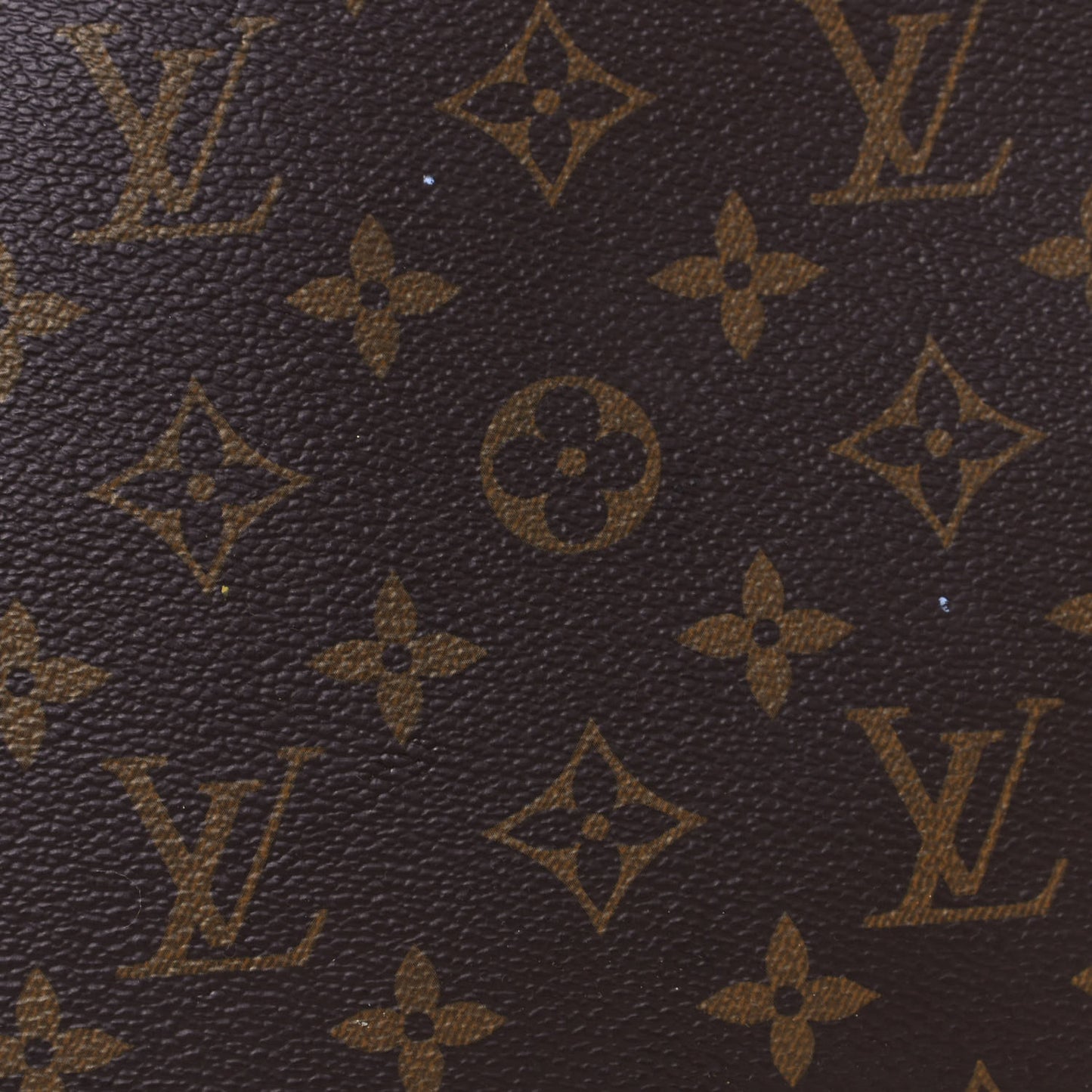 Monogram Neonoe MM Caramel