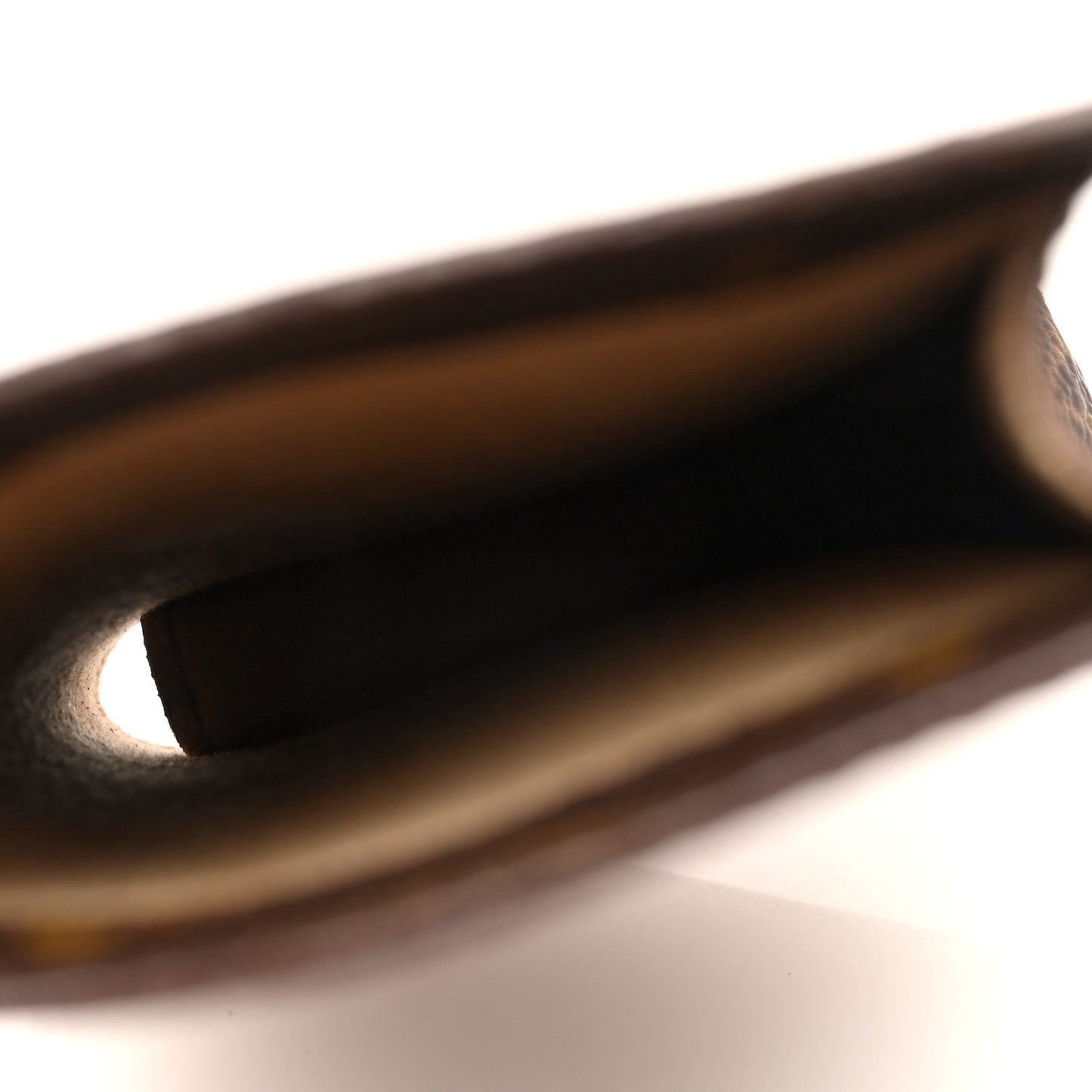 Monogram Sunglasses Case