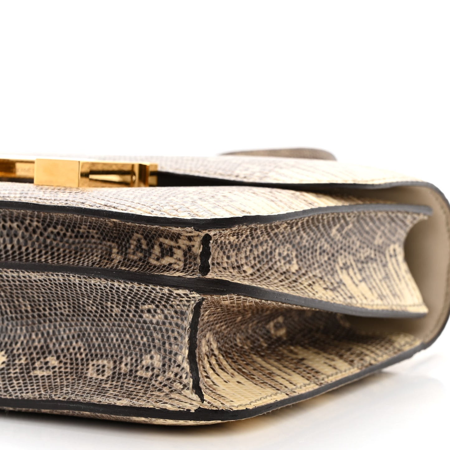 Lizard Constance 18 Ombre