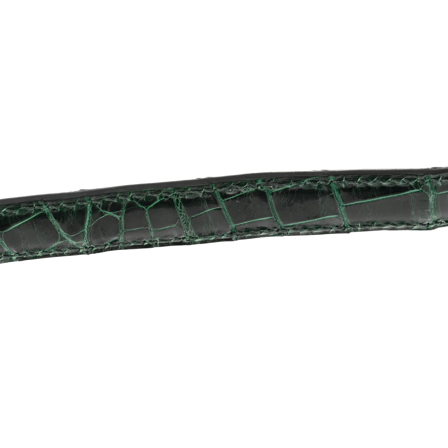 Shiny Niloticus Crocodile Constance 24 Vert Fonce