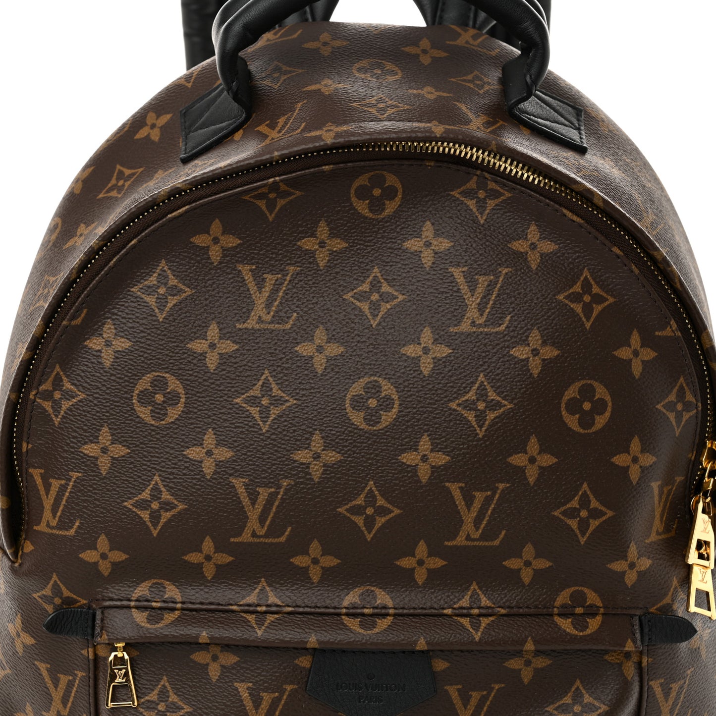 Monogram Palm Springs Backpack MM