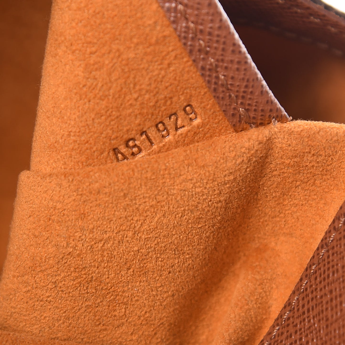 Monogram Musette Salsa