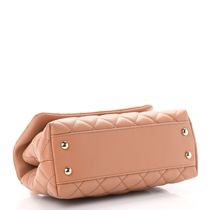 Chanel Caviar Lizard Embossed Quilted Mini Coco Handle Flap Brown 4 of 9