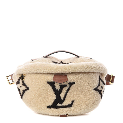 Louis Vuitton Monogram Teddy Bumbag 1 of 8