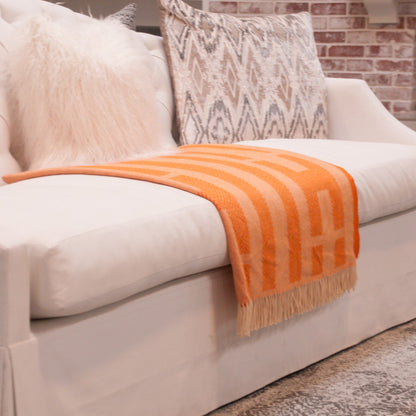 Hermes Wool Cashmere Labyrinthe Chevron Blanket Mangue 2 of 3