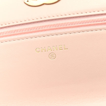 Chanel Calfskin Quilted Perfect FIt Wallet On Chain WOC Light Pink 6 of 12