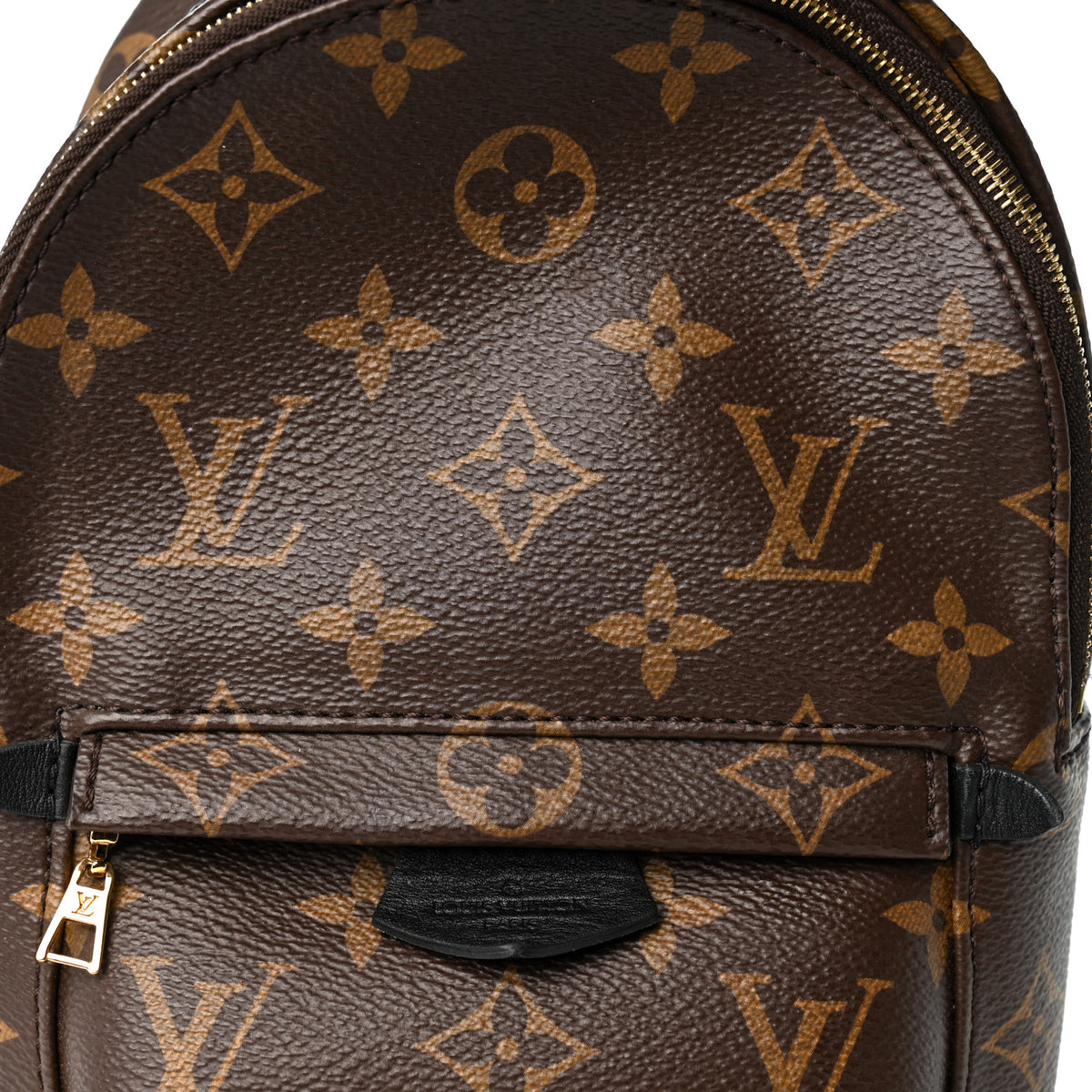 Monogram Palm Springs Backpack Mini