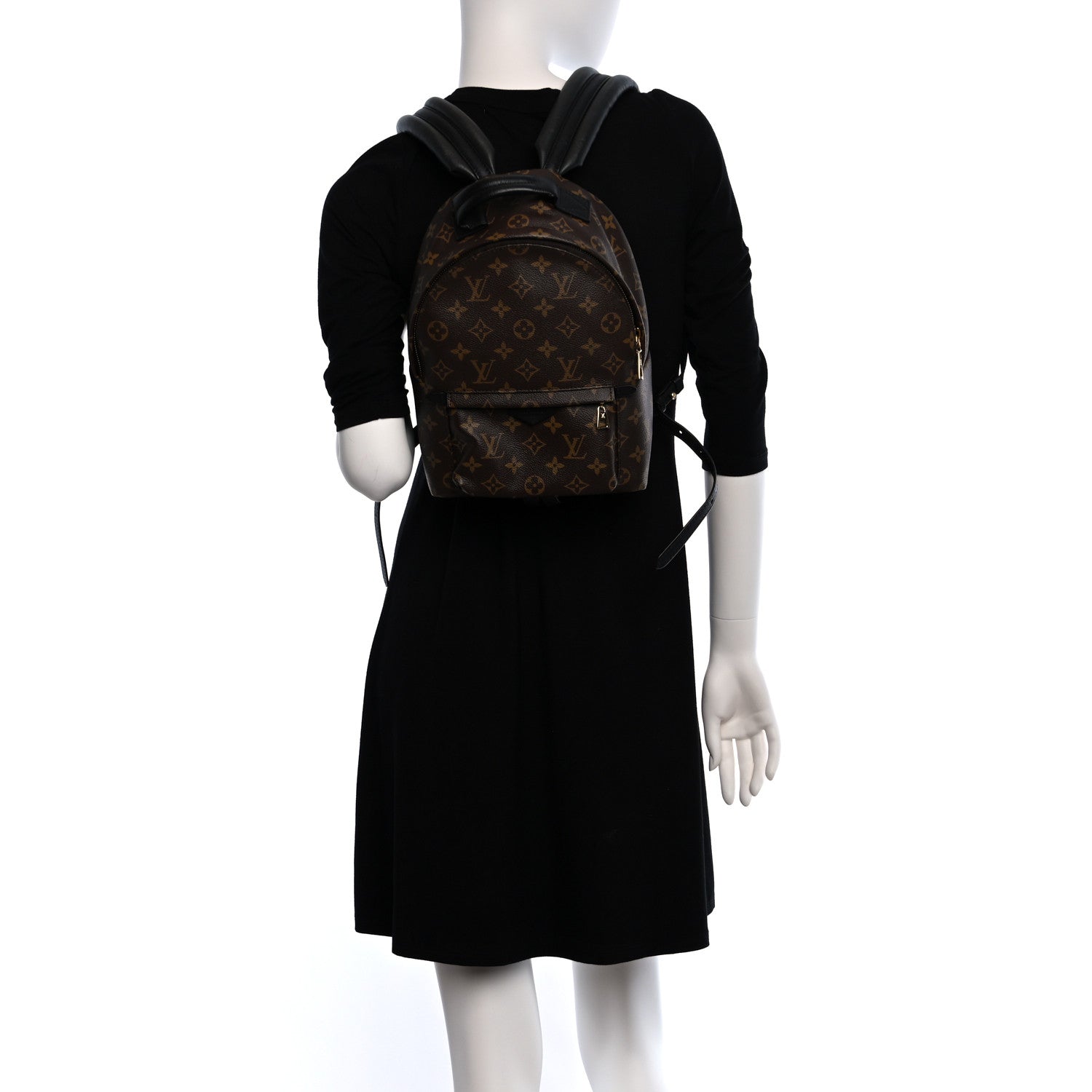 Louis Vuitton Monogram Palm Springs Backpack PM 2 of 11
