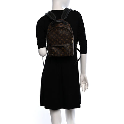 Louis Vuitton Monogram Palm Springs Backpack PM 2 of 11