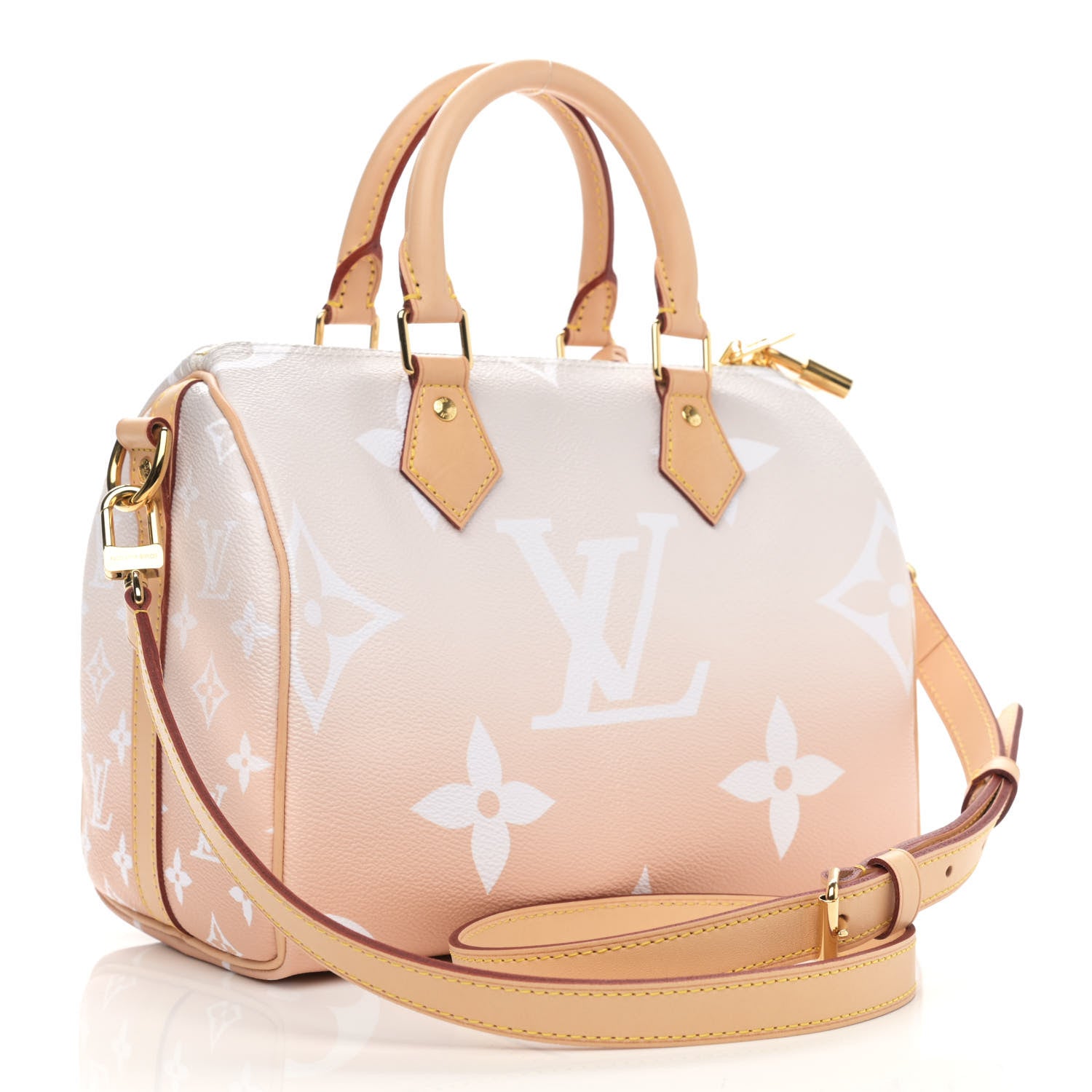 Louis Vuitton Monogram Giant By The Pool Speedy Bandouliere 25 Brume 3 of 11