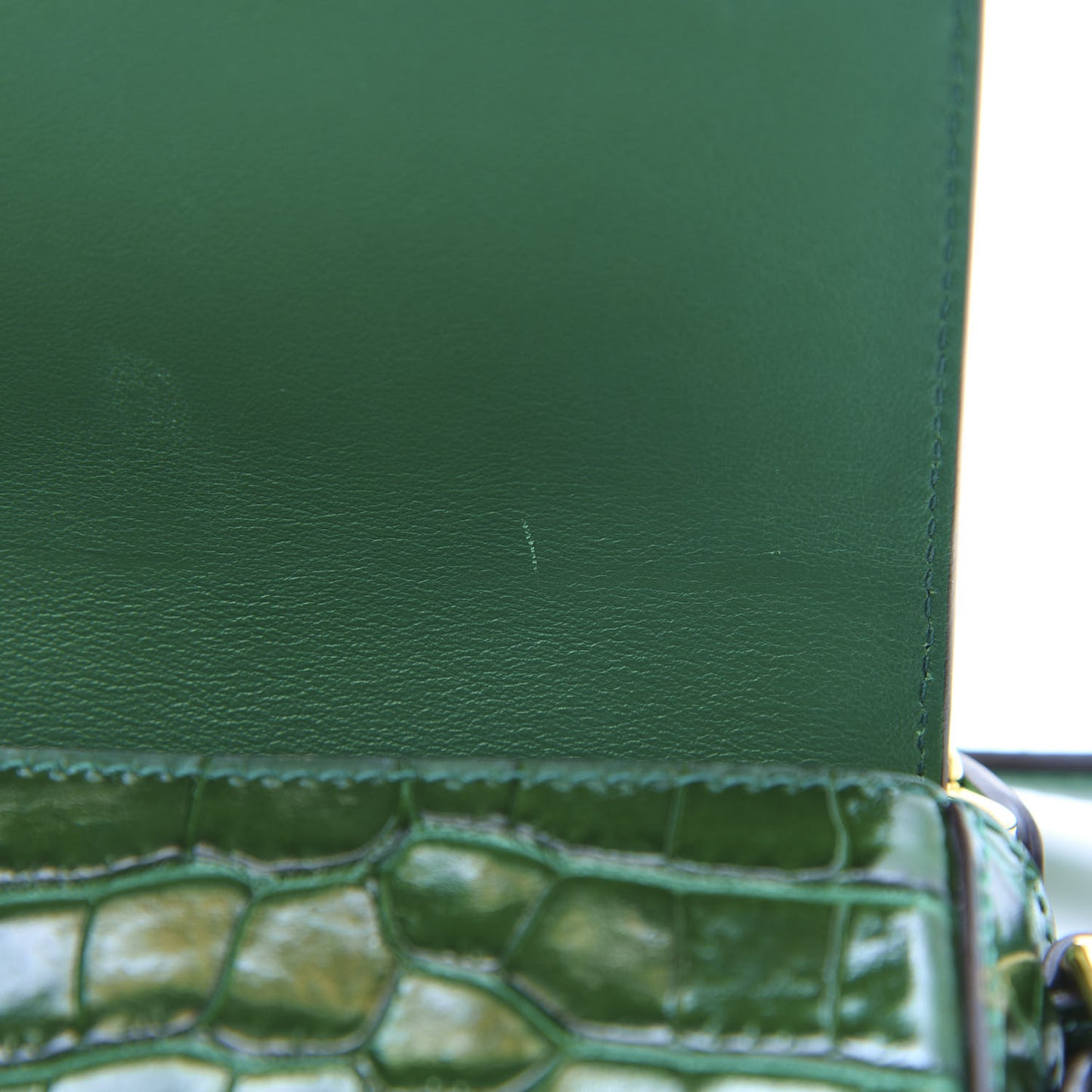 Calfskin Crocodile Embossed Mini C Double Carry Woodsy Green
