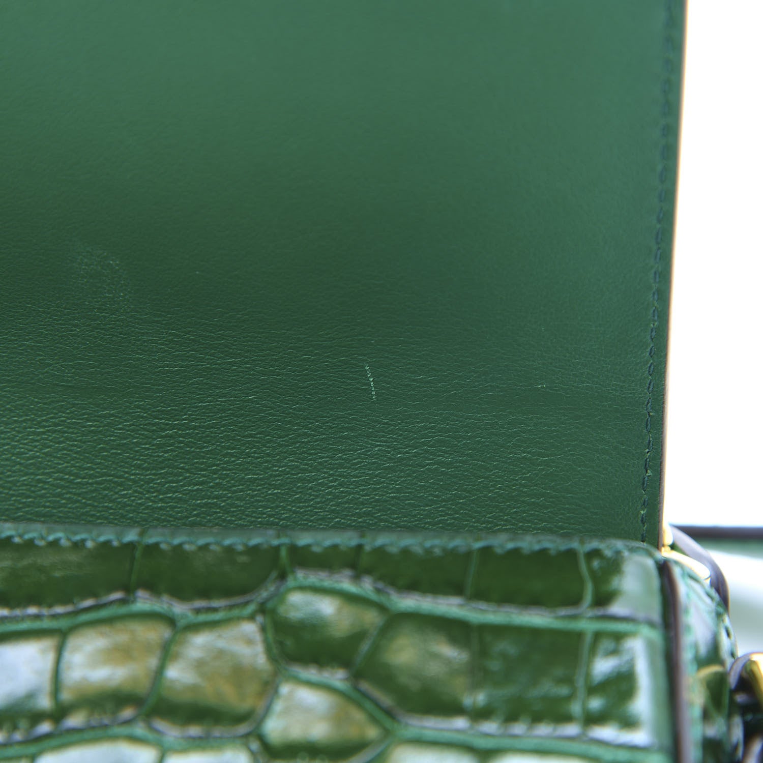 Chloe Calfskin Crocodile Embossed Mini C Double Carry Woodsy Green 13 of 15