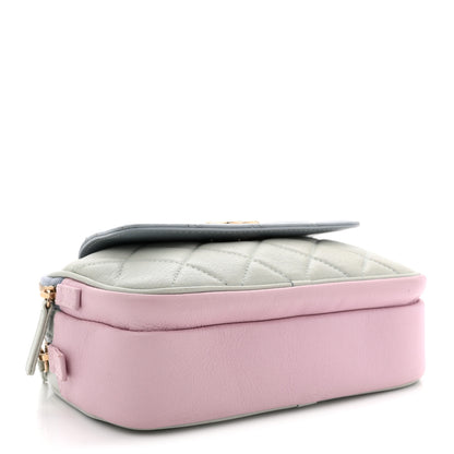 Chanel Goatskin Quilted Waist Bag Green Blue Pink 4 of 13