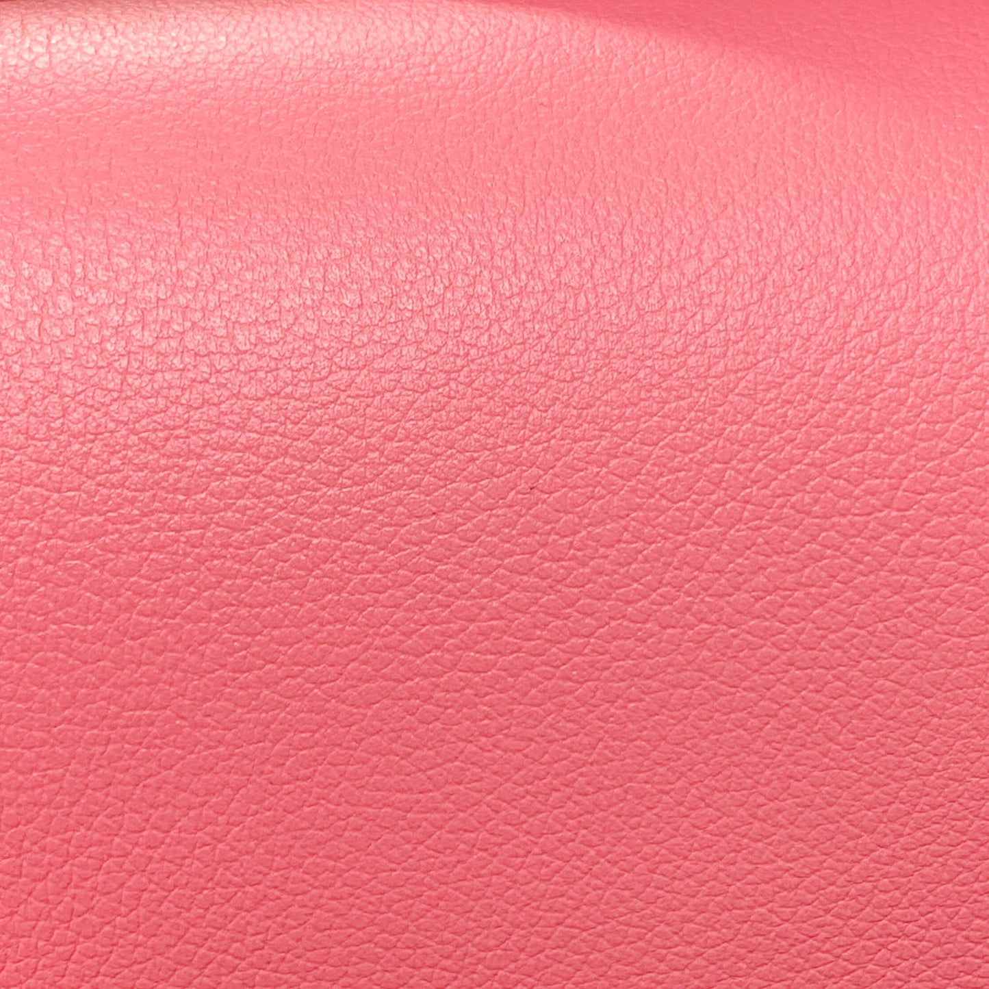 Evercolor Constance 24 Rose Azalee