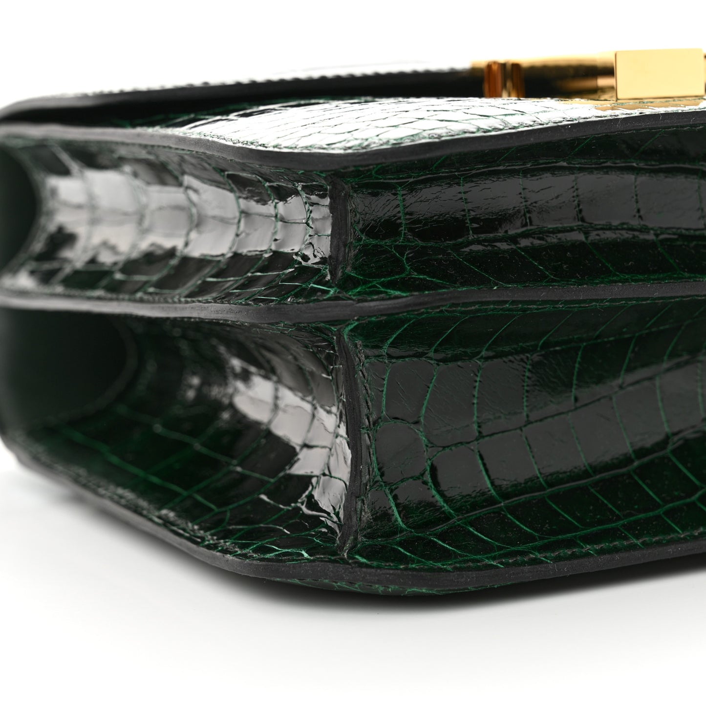 Shiny Niloticus Crocodile Constance 24 Vert Fonce