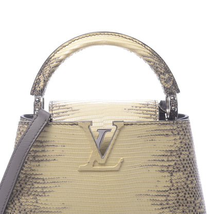Louis Vuitton Lizard Ombre Capucines Mini Natural 9 of 10