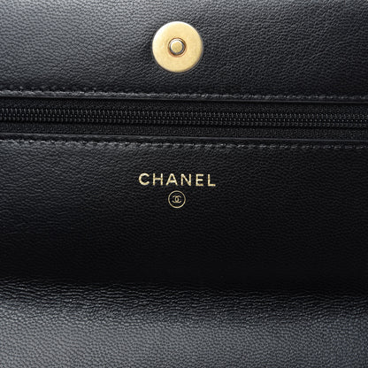 Chanel Shiny Goatskin Quilted Chanel 19 Wallet On Chain WOC Black 8 of 12