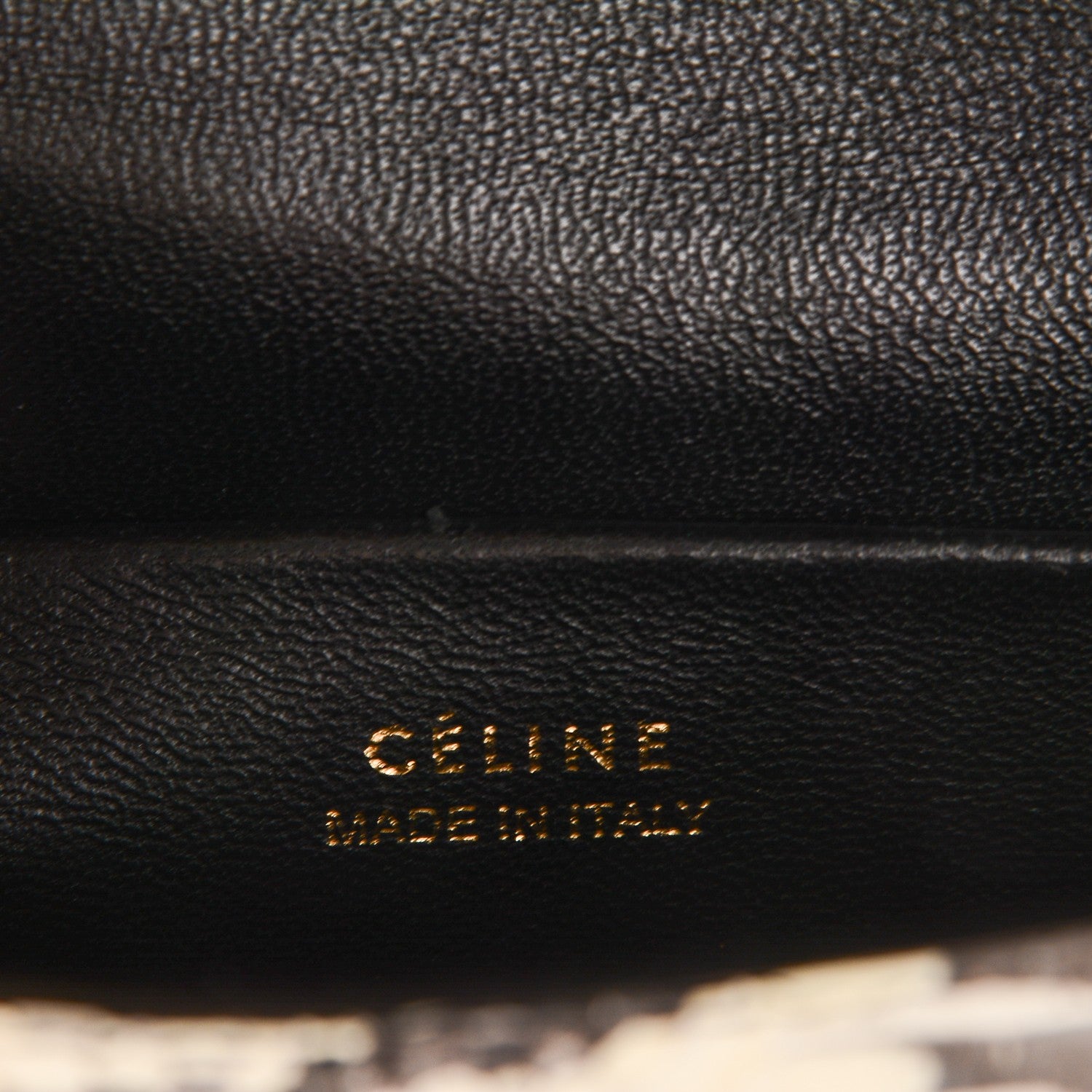 Celine Watersnake Small Trotteur Black White 6 of 6
