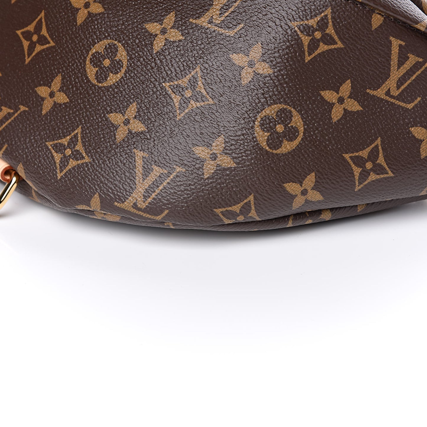 Monogram Bumbag