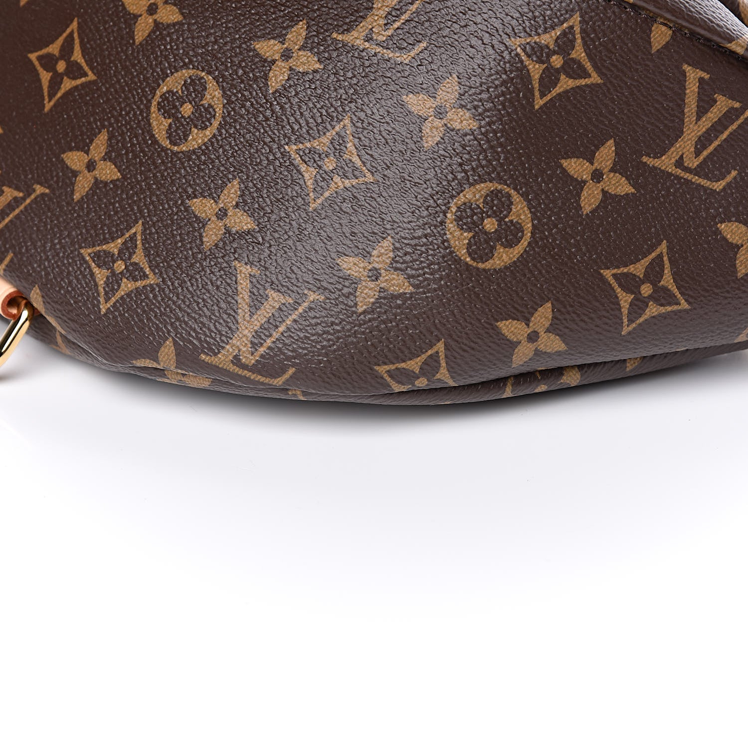 Louis Vuitton Monogram Bumbag 8 of 10