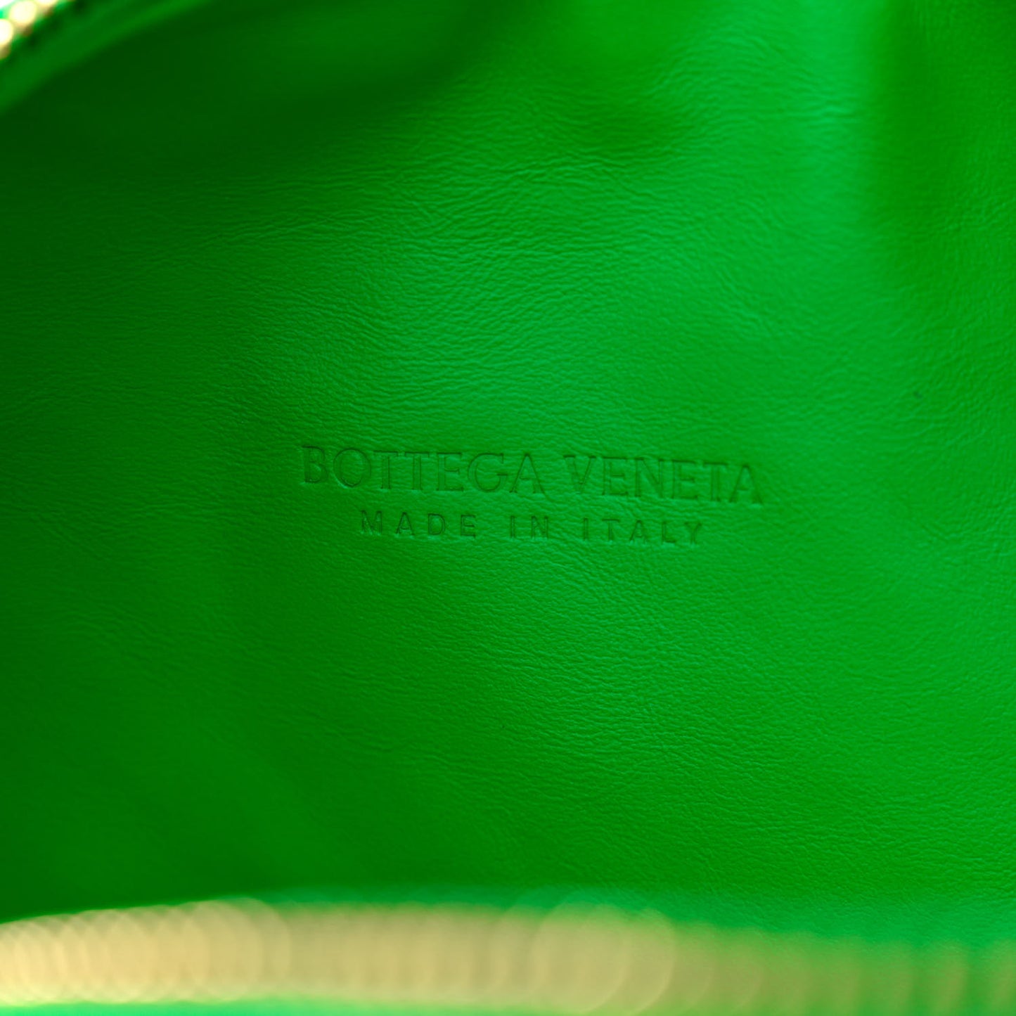 Nappa Intrecciato Teen Jodie Hobo Parakeet