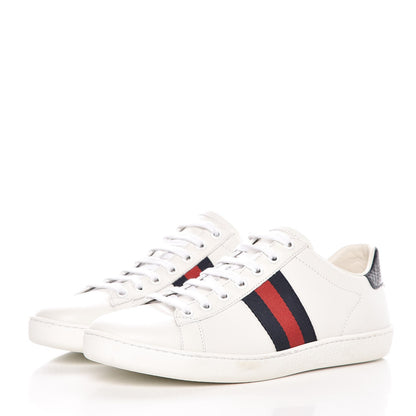 Gucci Calfskin Ayers Web Ace Sneakers 38 White Blue 3 of 9