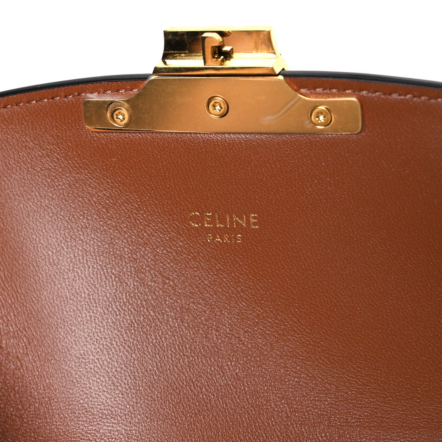 Calfskin Triomphe Canvas Teen Triomphe Bag Tan