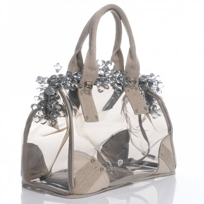 Prada Canvas Plexiglass Frame Crystal Cluster Bag Naturale 3 of 7