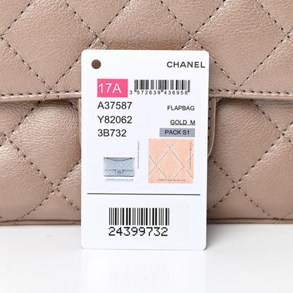 Chanel Metallic Calfskin Quilted 2.55 Reissue 226 Flap Dark Gold 17 of 17