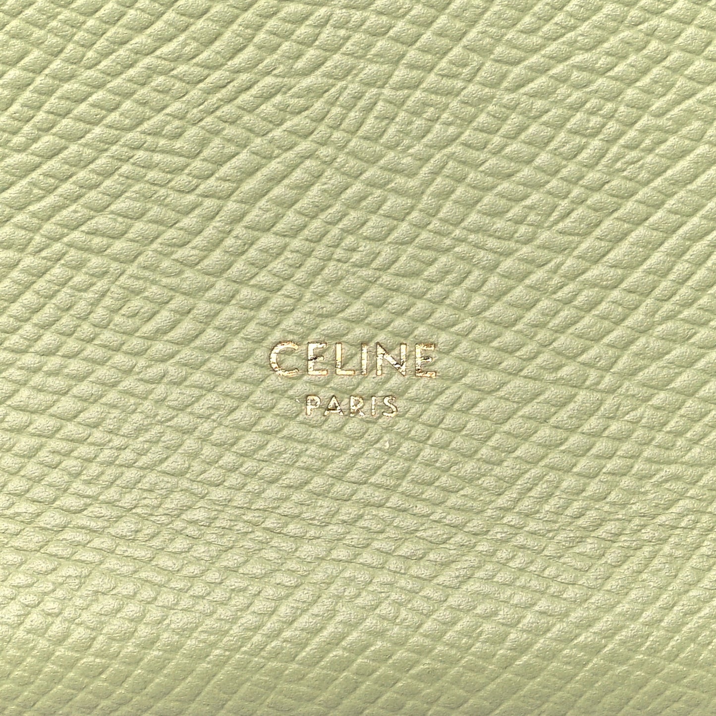 Grained Calfskin Medium Multifunction Strap Wallet Sage Lilas