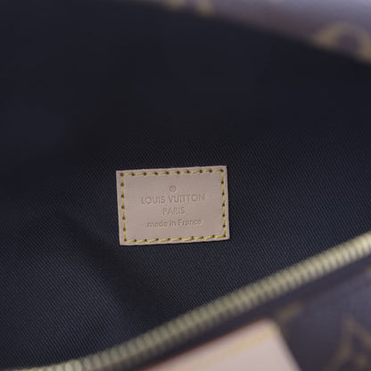 Louis Vuitton Monogram Bumbag 6 of 9