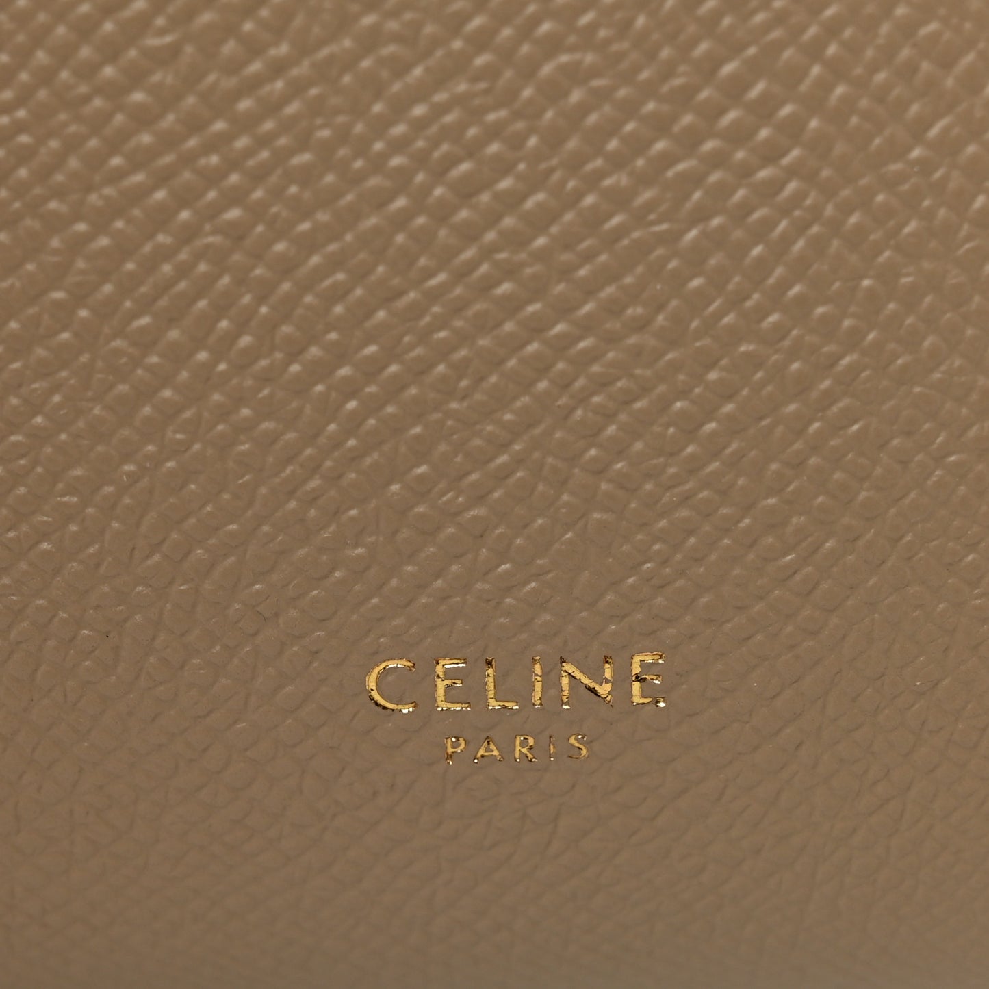 Grained Calfskin Pico Belt Bag Light Taupe