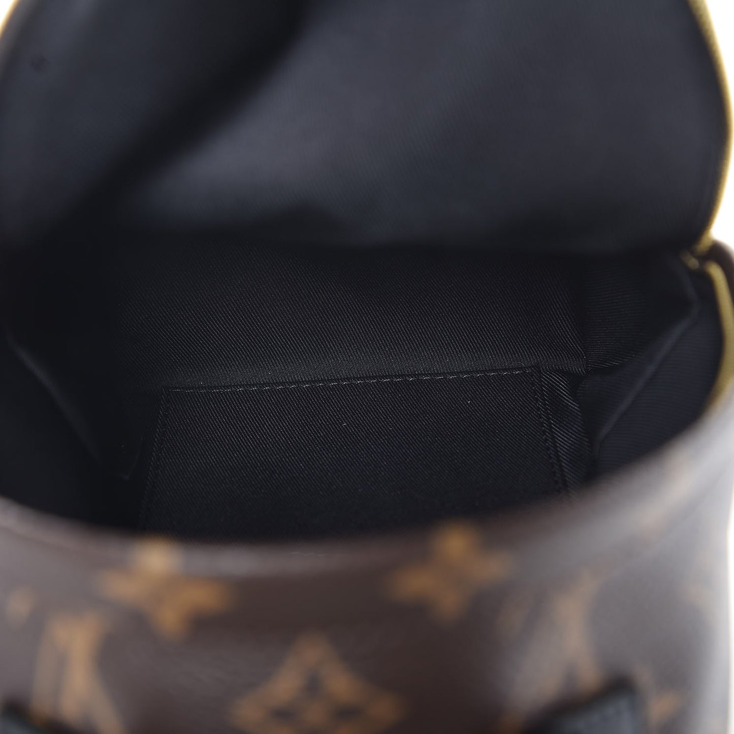 Monogram Palm Springs Backpack Mini