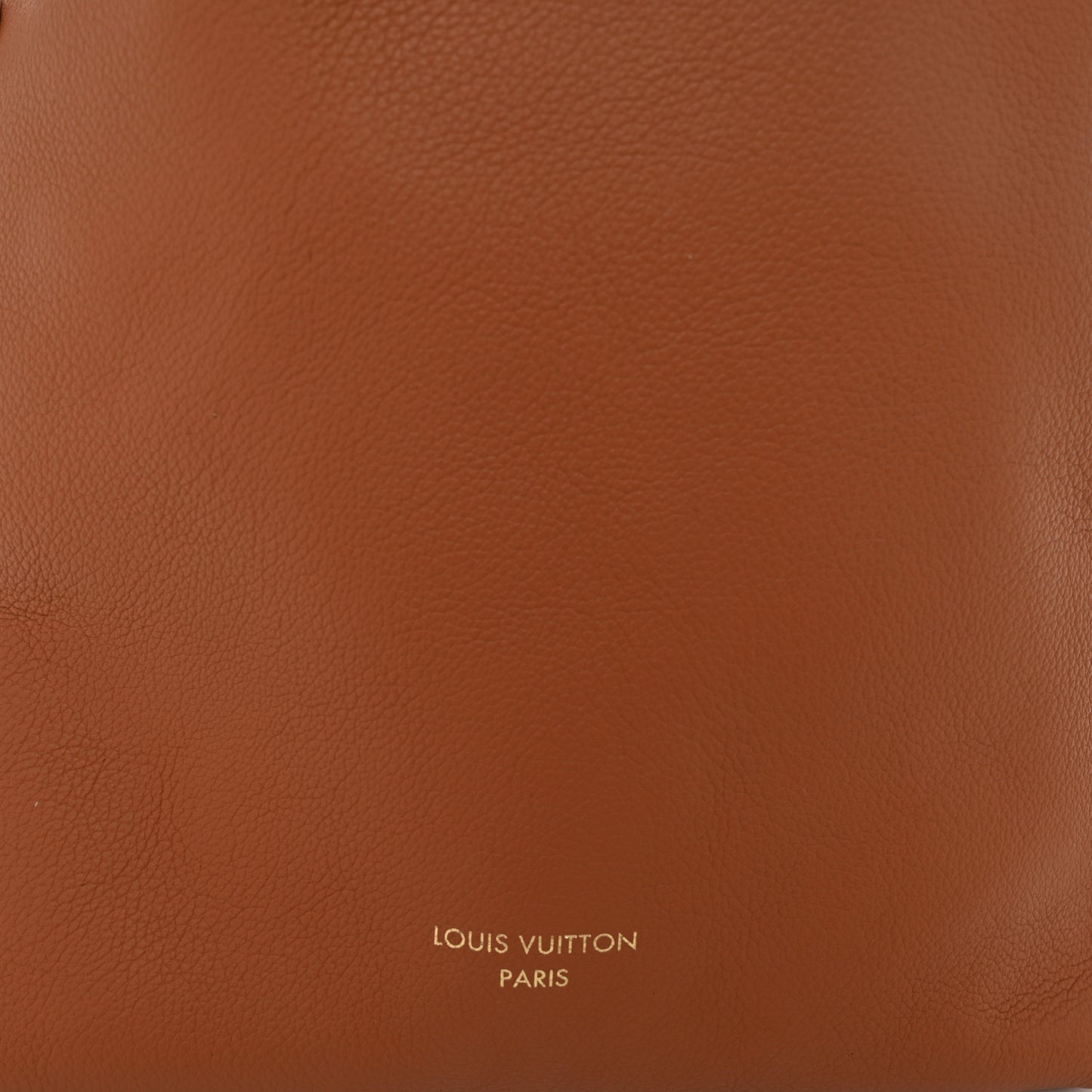 Grained Calfskin Low Key Hobo PM Cognac