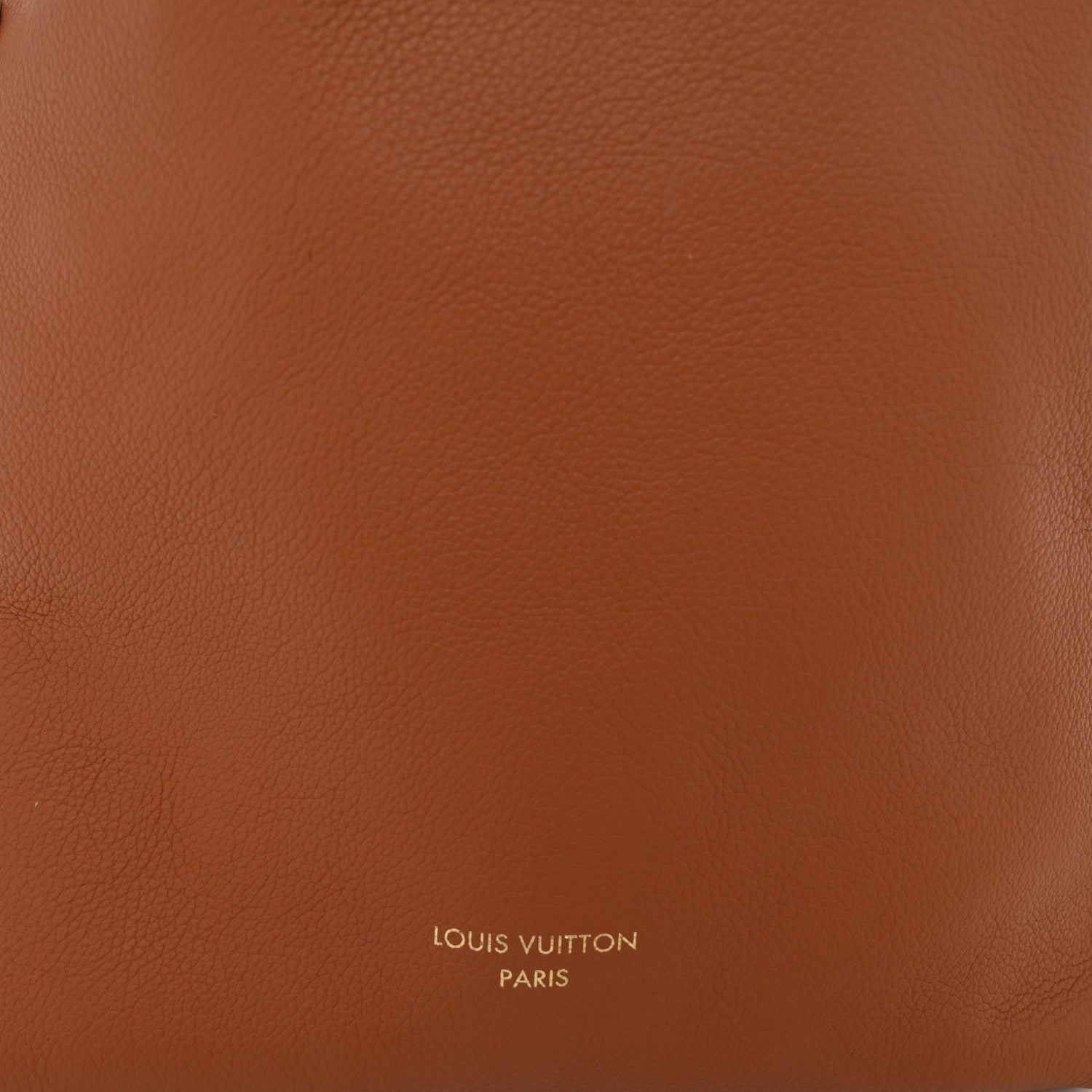Louis Vuitton Grained Calfskin Low Key Hobo PM Cognac 8 of 10