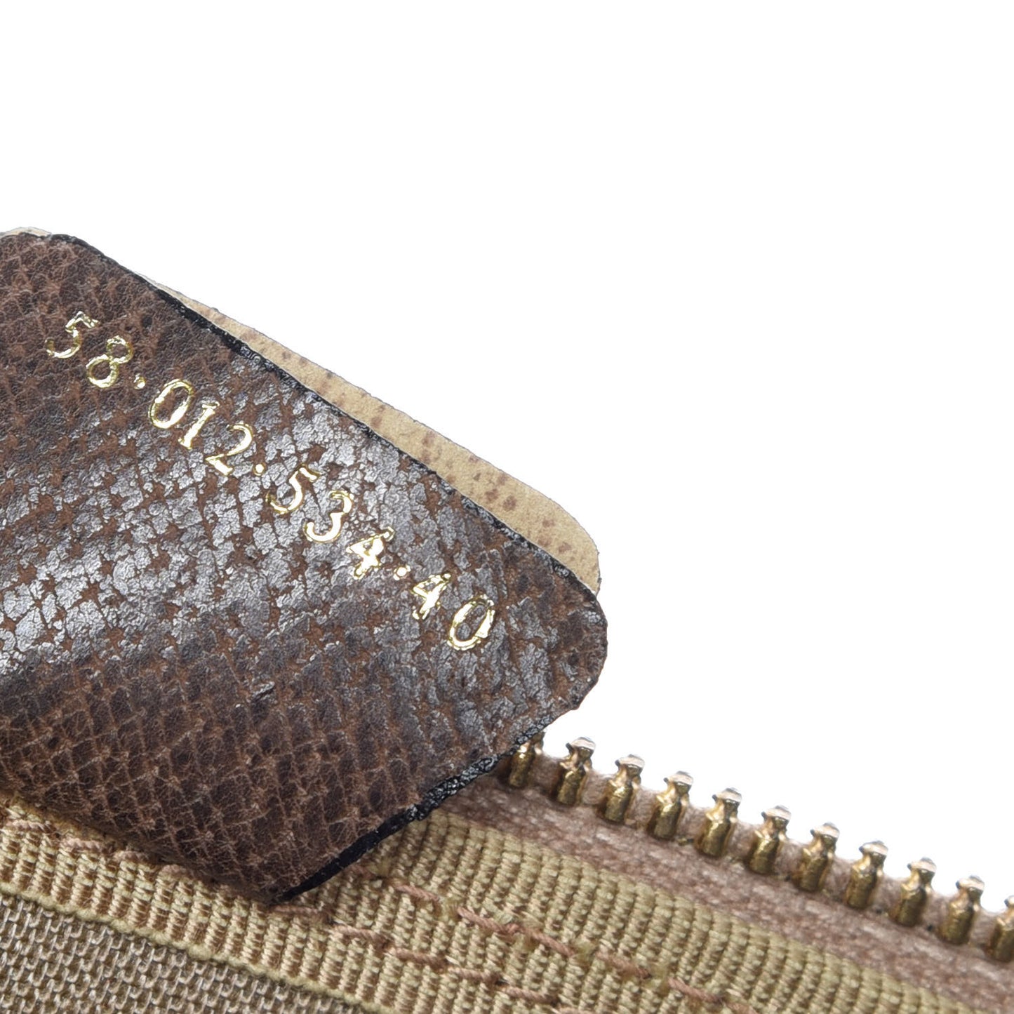 GG Plus Monogram Web Boston Brown