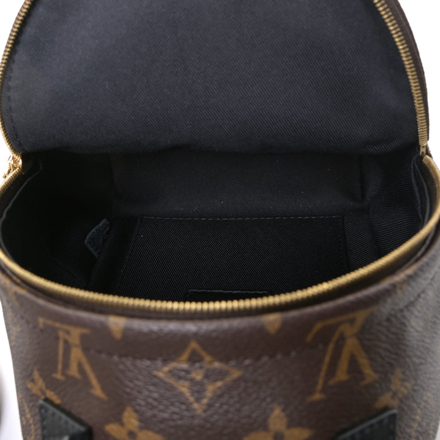 Monogram Palm Springs Backpack Mini