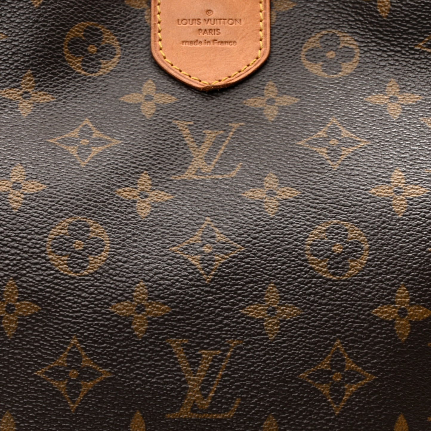 Monogram Delightful MM