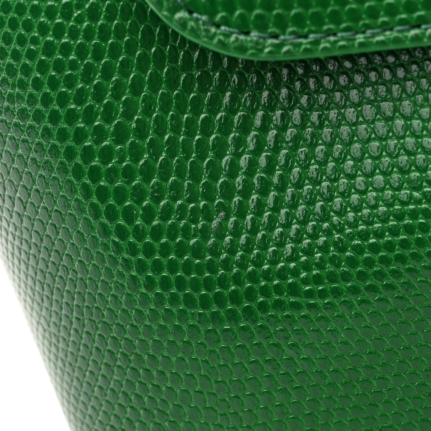 Lizard Embosed Mini Lady Bag Leaf