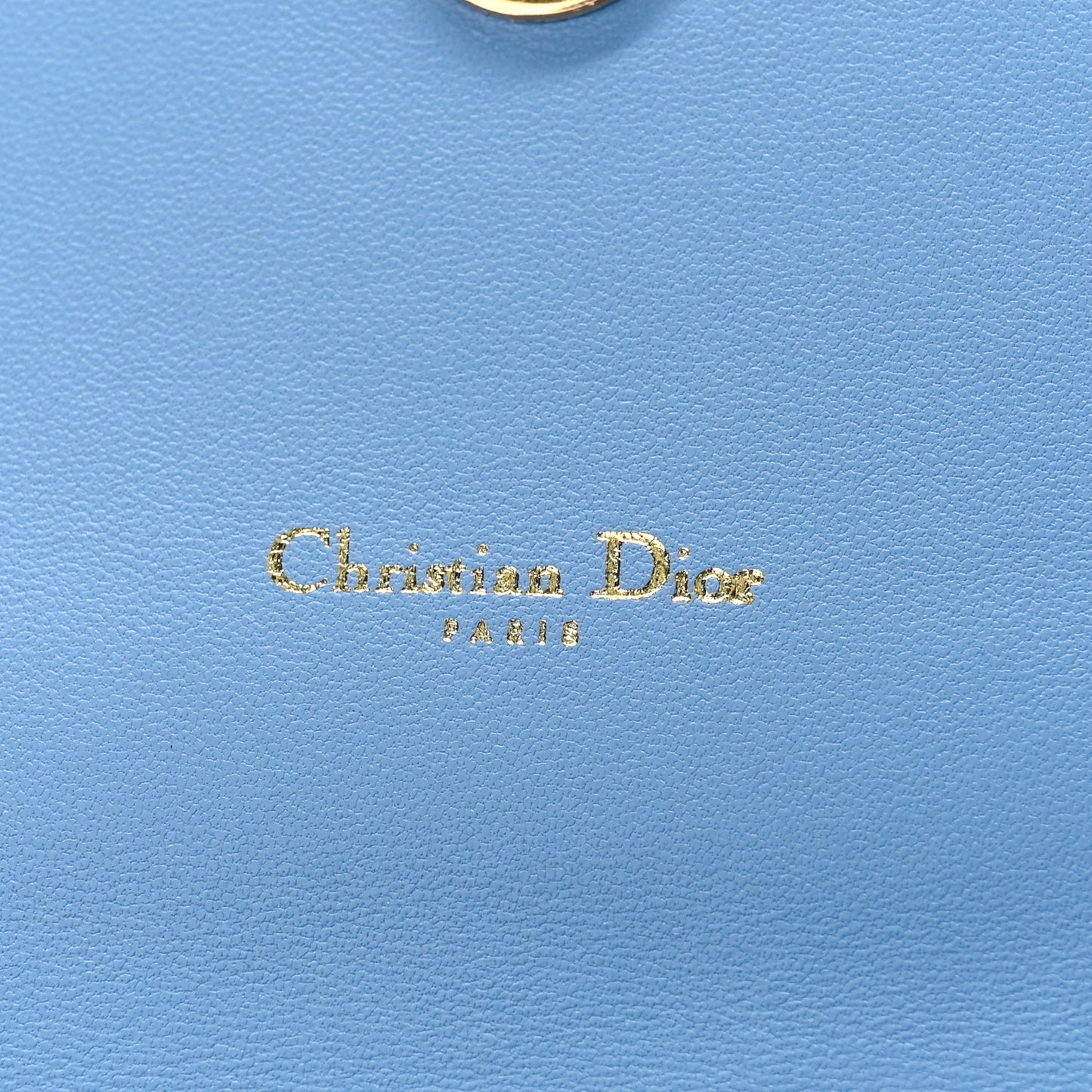 Supple Calfskin Cannage Caro Belt Pouch with Chain Cornflower