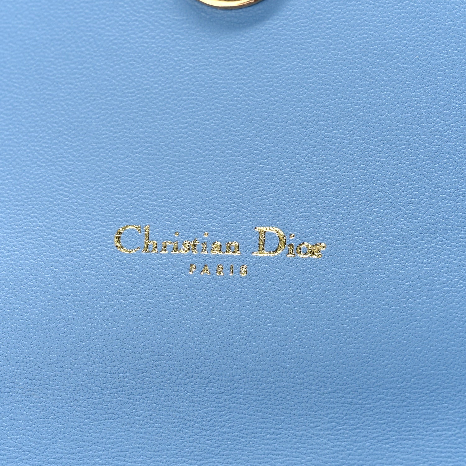 Christian Dior Supple Calfskin Cannage Caro Belt Pouch with Chain Cornflower 6 of 8