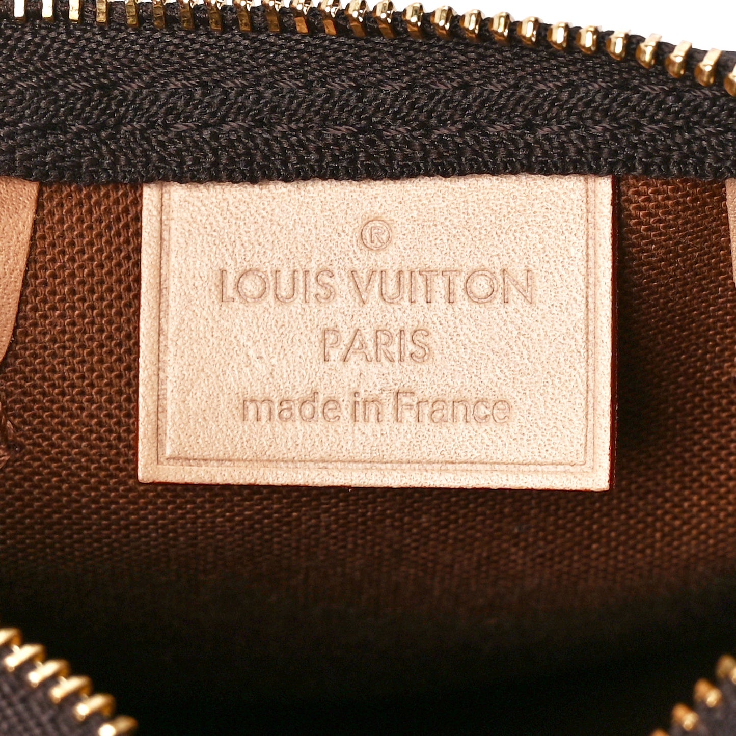 Monogram Nano Speedy