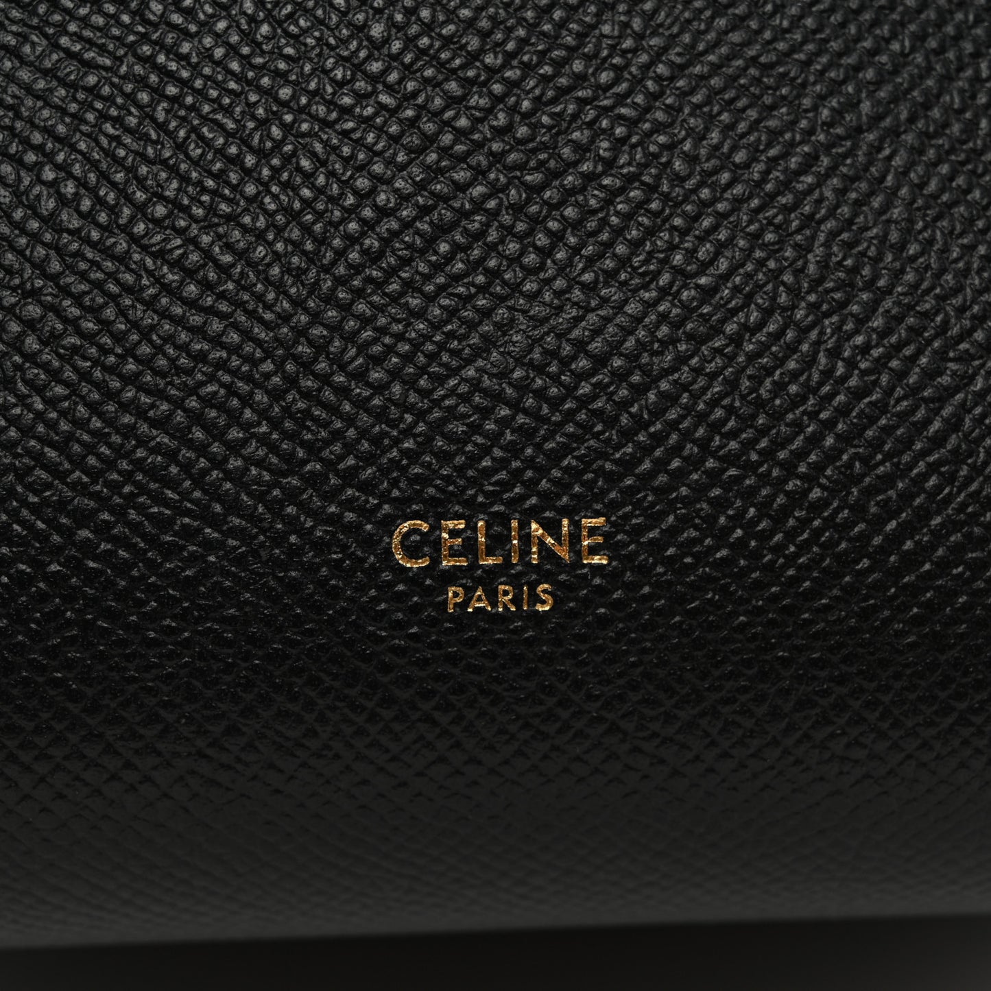 Grained Calfskin Nano Belt Bag Black