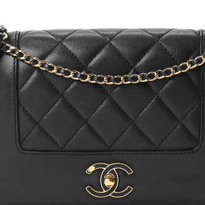 Chanel Sheepskin Quilted Small Vintage Mademoiselle Flap Black 8 of 10