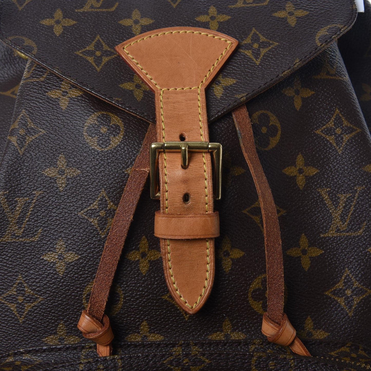 Monogram Montsouris GM Backpack