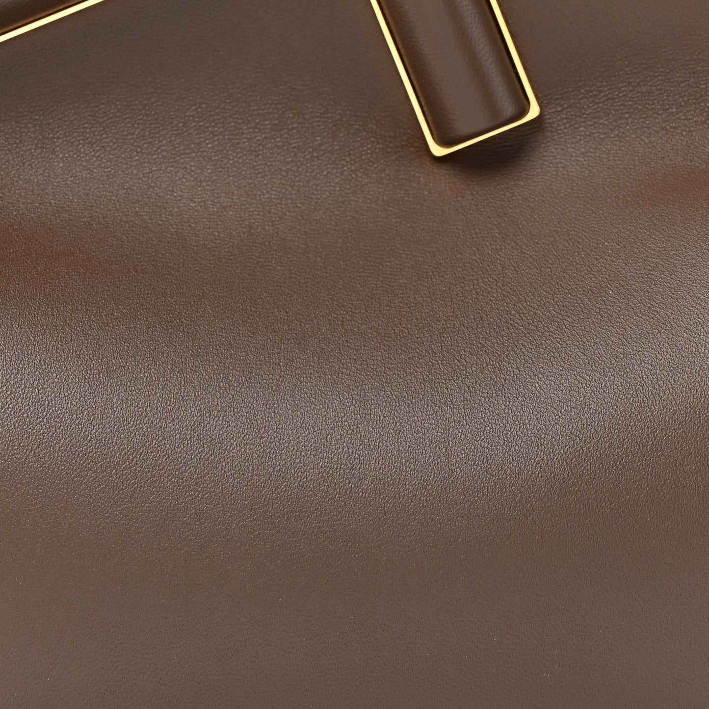 Shiny Nappa Midi Fendi First Dark Coffee
